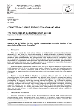 Background Report on the Protection of Media Freedom in Europe