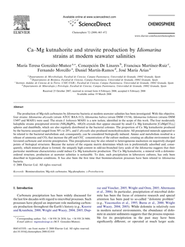 Ca–Mg Kutnahorite and Struvite Production by Idiomarina Strains at Modern Seawater Salinities