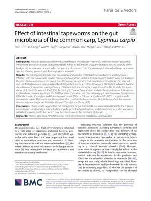 Effect of Intestinal Tapeworms on the Gut Microbiota of the Common Carp