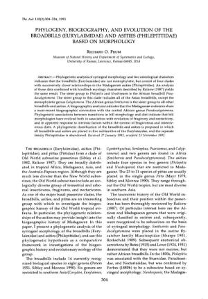 Phylogeny, Biogeography, and Evolution of the Broadbills (Eurylaimidae) and Asities (Philepittidae) Based on Morphology