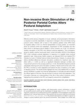 Non-Invasive Brain Stimulation of the Posterior Parietal Cortex Alters Postural Adaptation