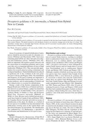 Dryopteris Goldiana X D. Intermedia, a Natural Fern Hybrid New to Canada