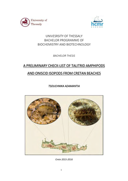 A Preliminary Check-List of Talitrid Amphipods and Oniscid Isopods from Cretan Beaches