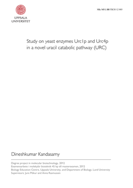 Study on Yeast Enzymes Urc1p and Urc4p in a Novel Uracil Catabolic Pathway (URC)