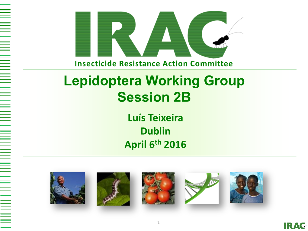 Lepidoptera Working Group Session 2B Luís Teixeira Dublin April 6Th 2016