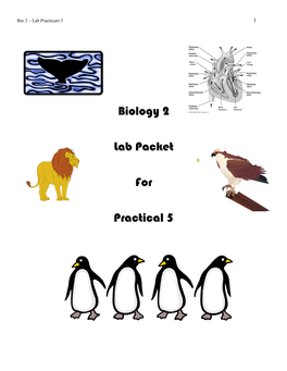 Biology 2 Lab Packet for Practical 5