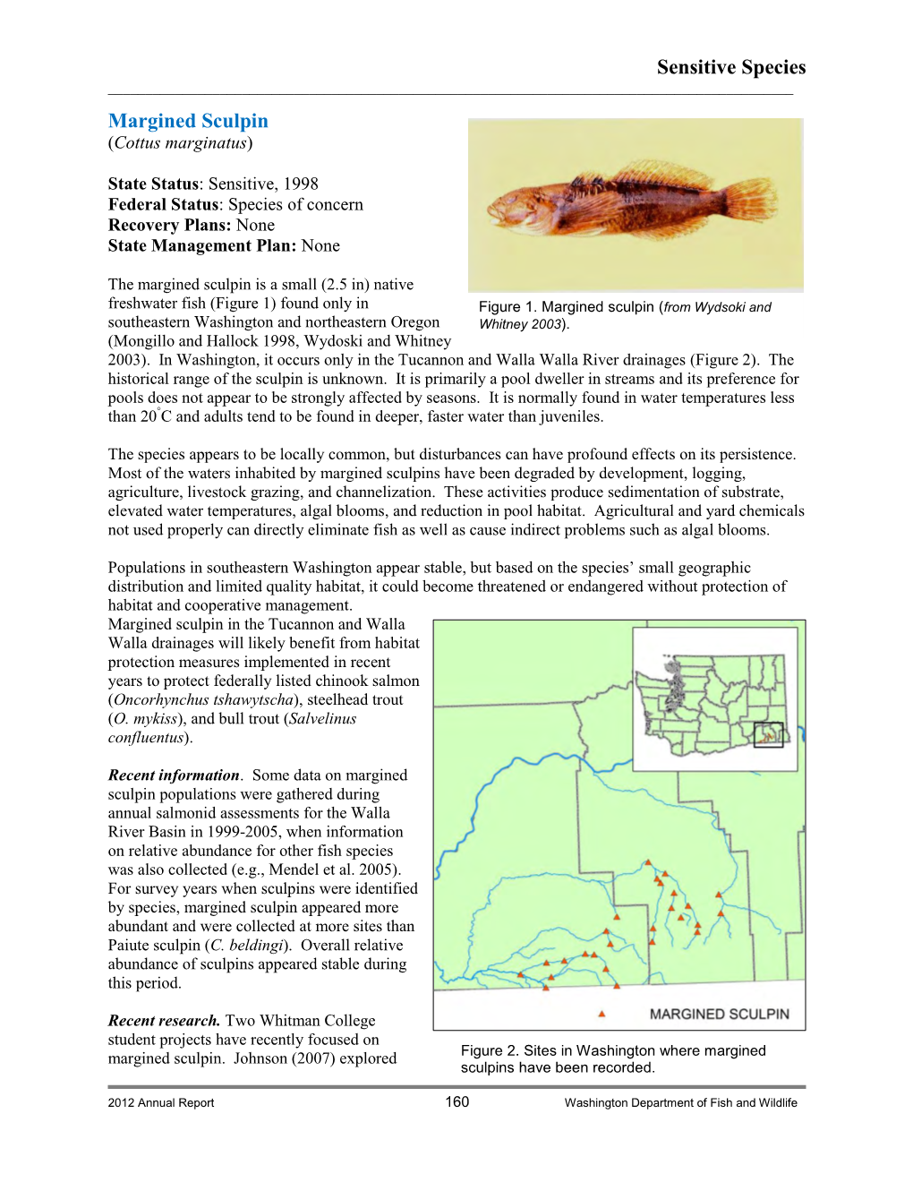 Margined Sculpin Fact Sheet