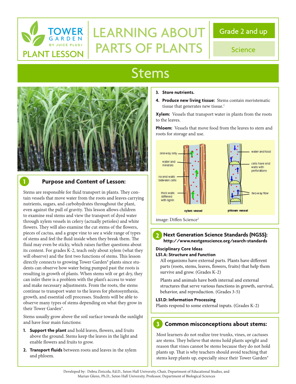 Learning About Parts of Plants