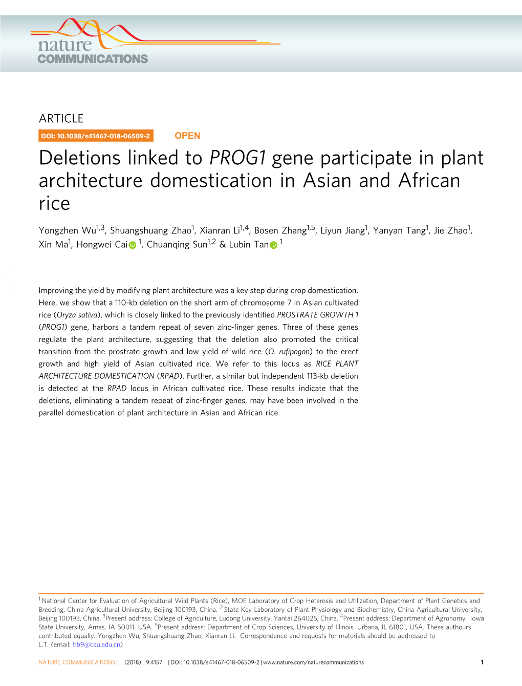 Deletions Linked to PROG1 Gene Participate in Plant Architecture Domestication in Asian and African Rice