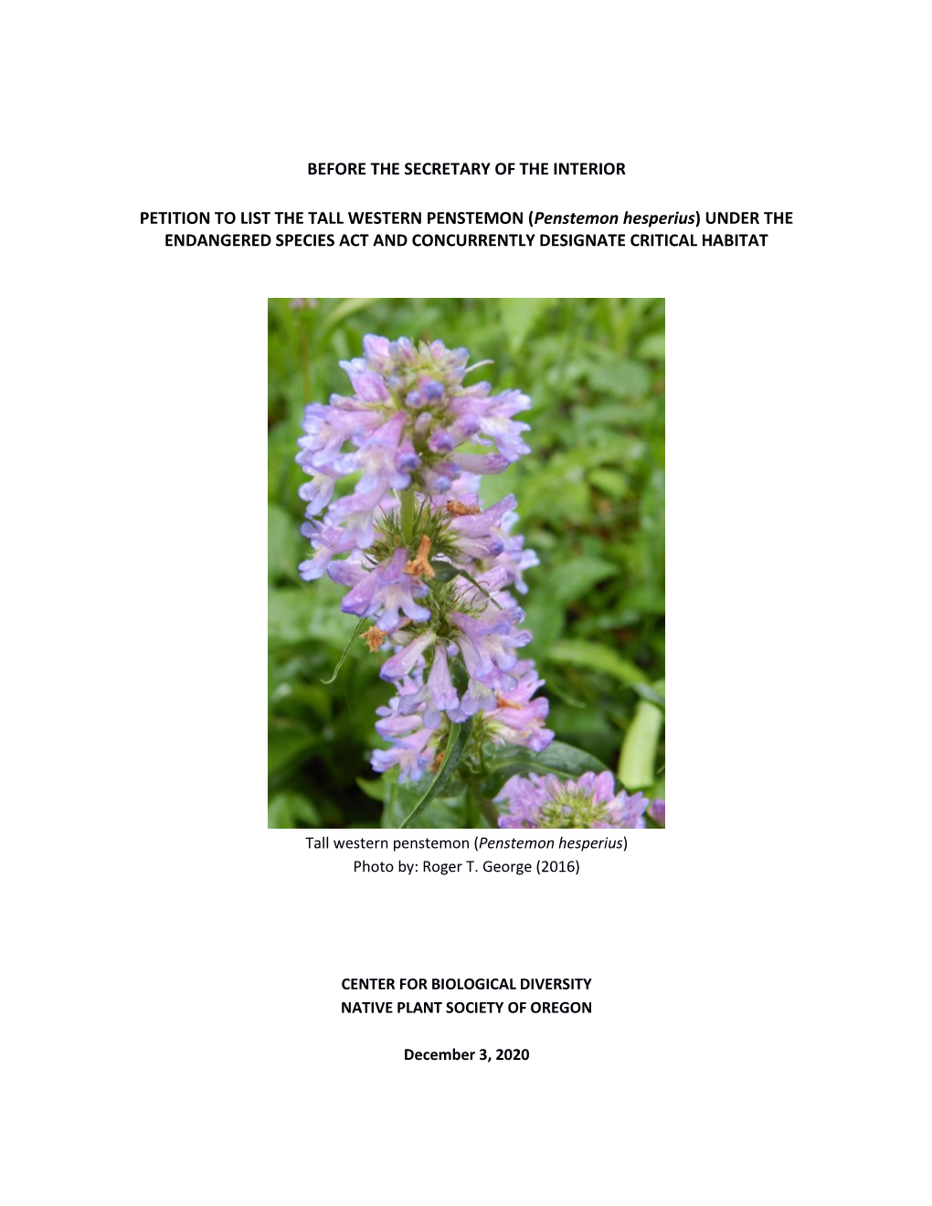 Tall Western Penstemon Petition