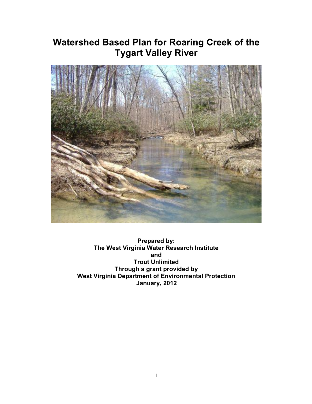 Roaring Creek of the Tygart Valley River