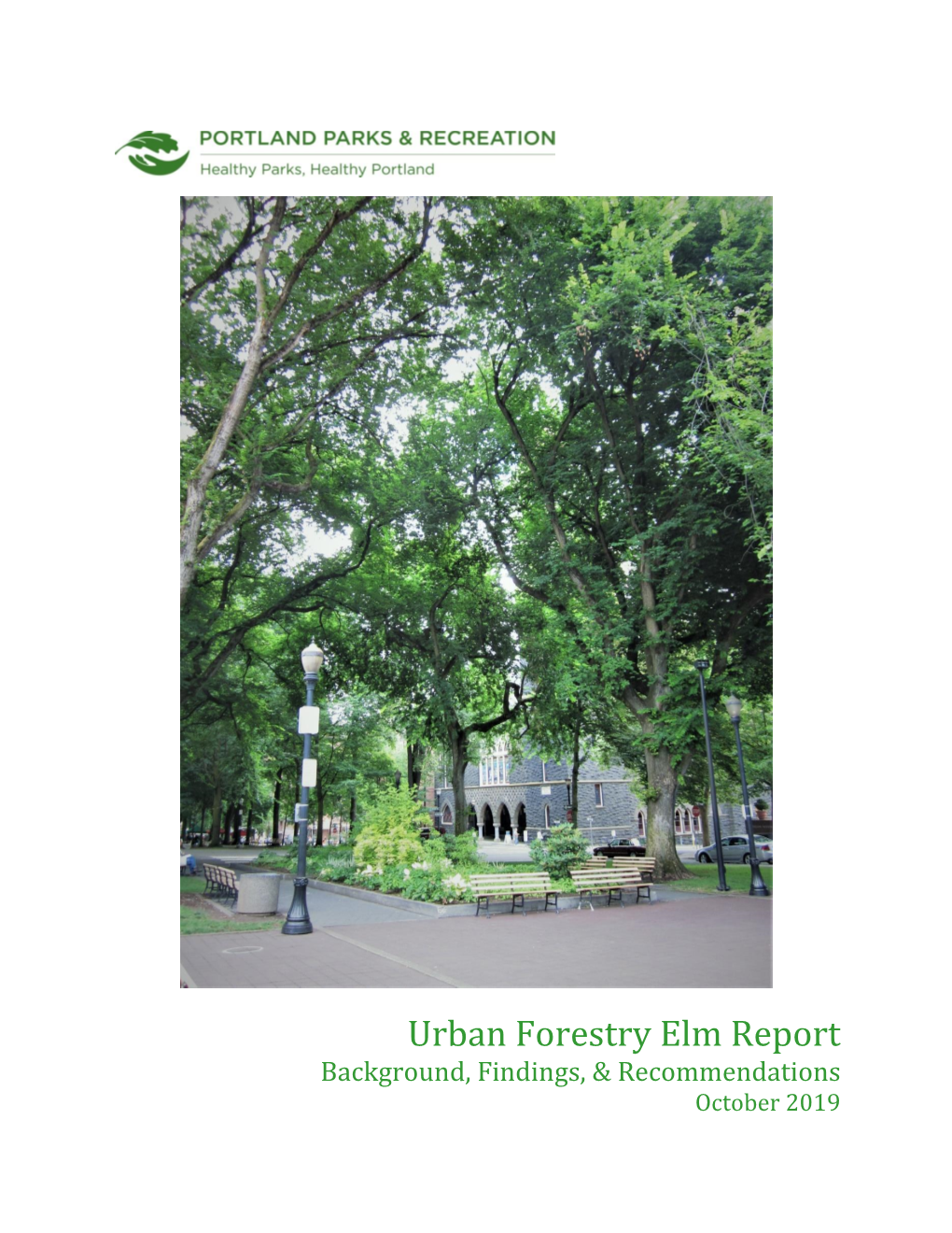 Download PDF File 2019 DED Annual Report