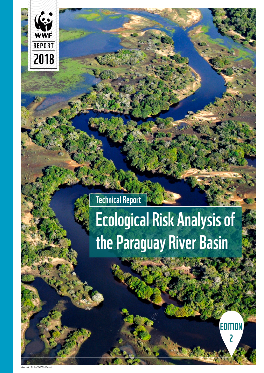 Ecological Risk Analysis of the Paraguay River Basin