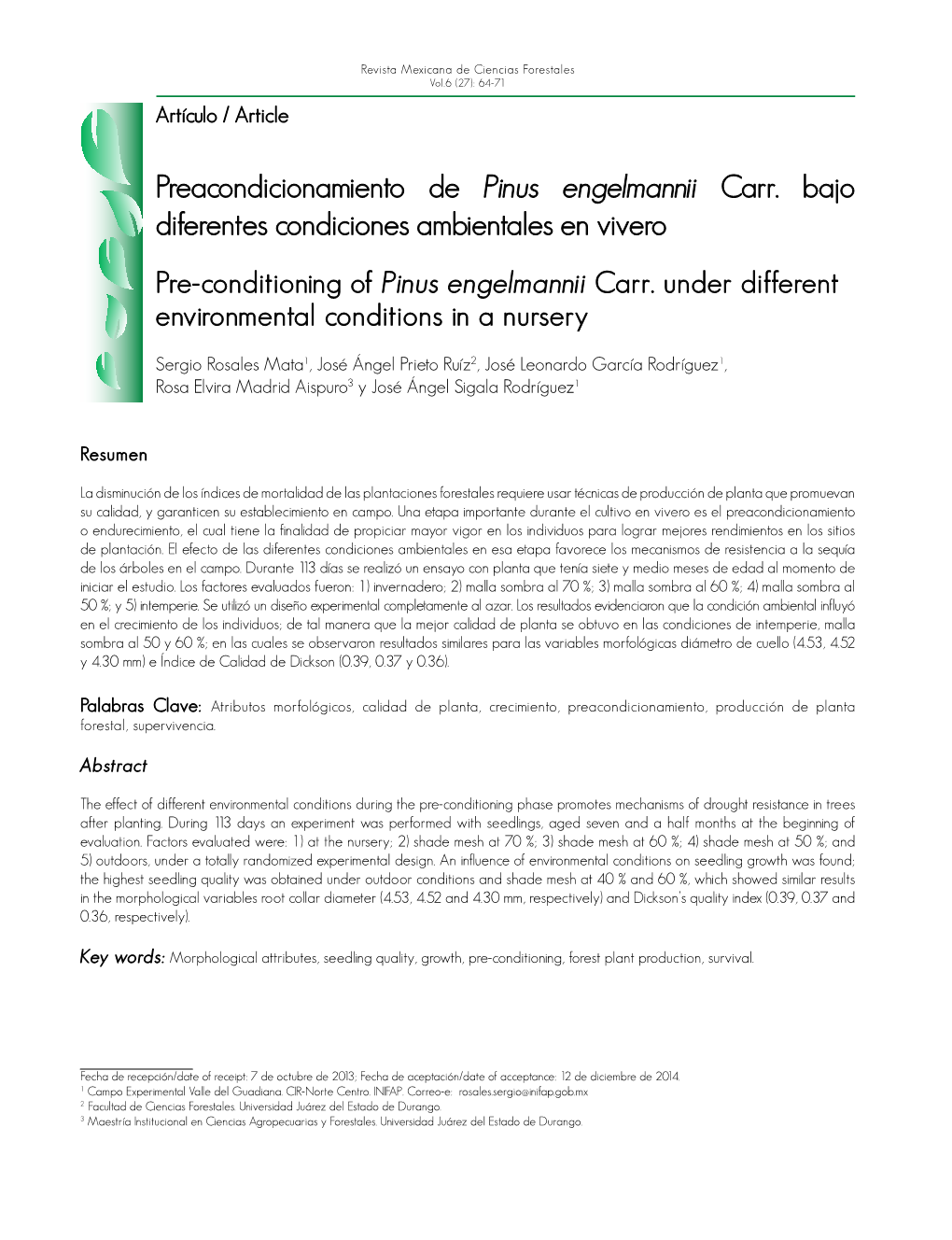 Pinus Engelmannii Carr