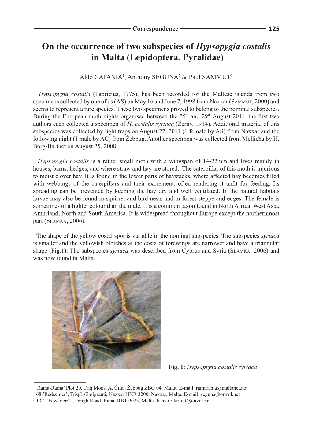 On the Occurrence of Two Subspecies of Hypsopygia Costalis in Malta (Lepidoptera, Pyralidae)