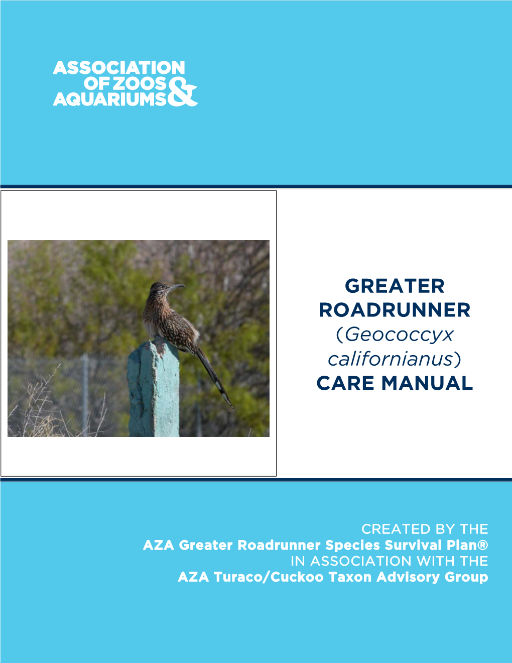 GREATER ROADRUNNER (Geococcyx Californianus) CARE MANUAL