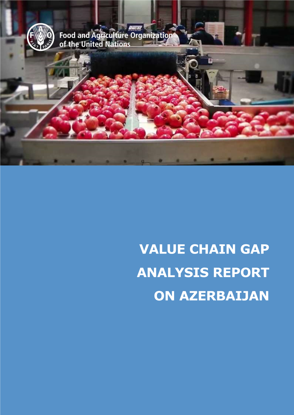 Azerbaijan Value Chain Gap Analysis