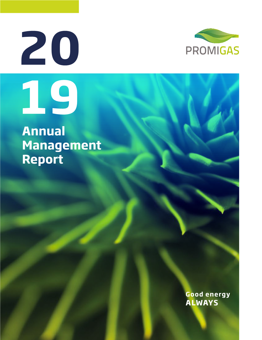 Annual Management Report Contents