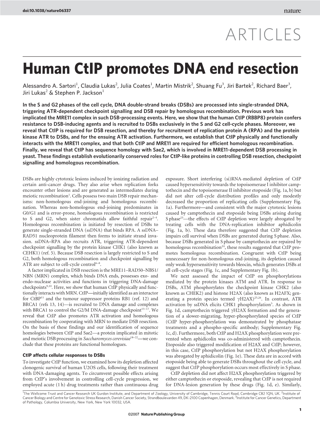 Human Ctip Promotes DNA End Resection