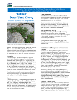 Conservation Plant Release Brochure for Catskill Dwarf Sand Cherry