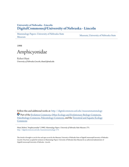 Amphicyonidae Robert Hunt University of Nebraska-Lincoln, Rhunt2@Unl.Edu