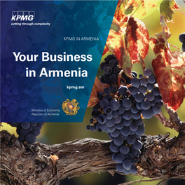 Your Business in Armenia.Indd