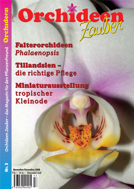 Falterorchideen Phalaenopsis Tillandsien – Die Richtige Pflege