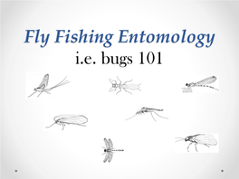 Fly Fishing Entomology I.E