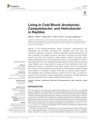Arcobacter, Campylobacter, and Helicobacter in Reptiles