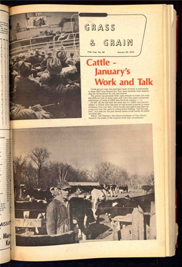 Cattle Work and Talk