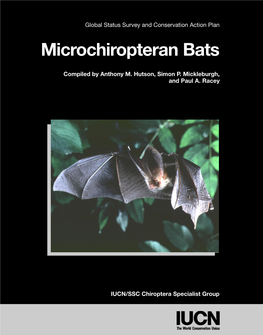 Microchiropteran Bats