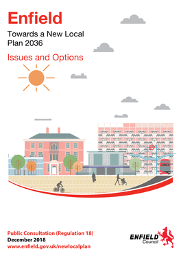Local Plan Issues and Options (PDF)
