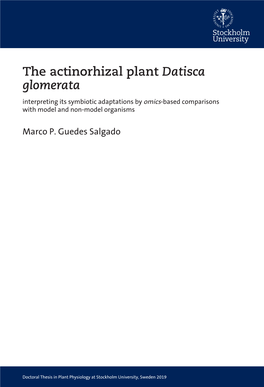 The Actinorhizal Plant Datisca Glomerata