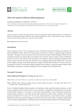 Three New Species of Sloanea (Elaeocarpaceae)