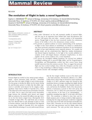 The Evolution of Flight in Bats: a Novel Hypothesis Sophia C