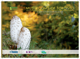 Mushrooms of Toronto