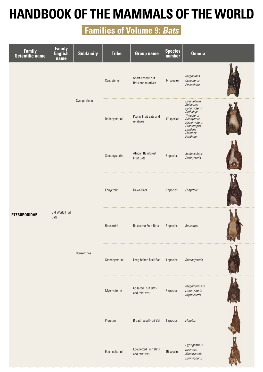 HANDBOOK of the MAMMALS of the WORLD Families of Volume 9: Bats