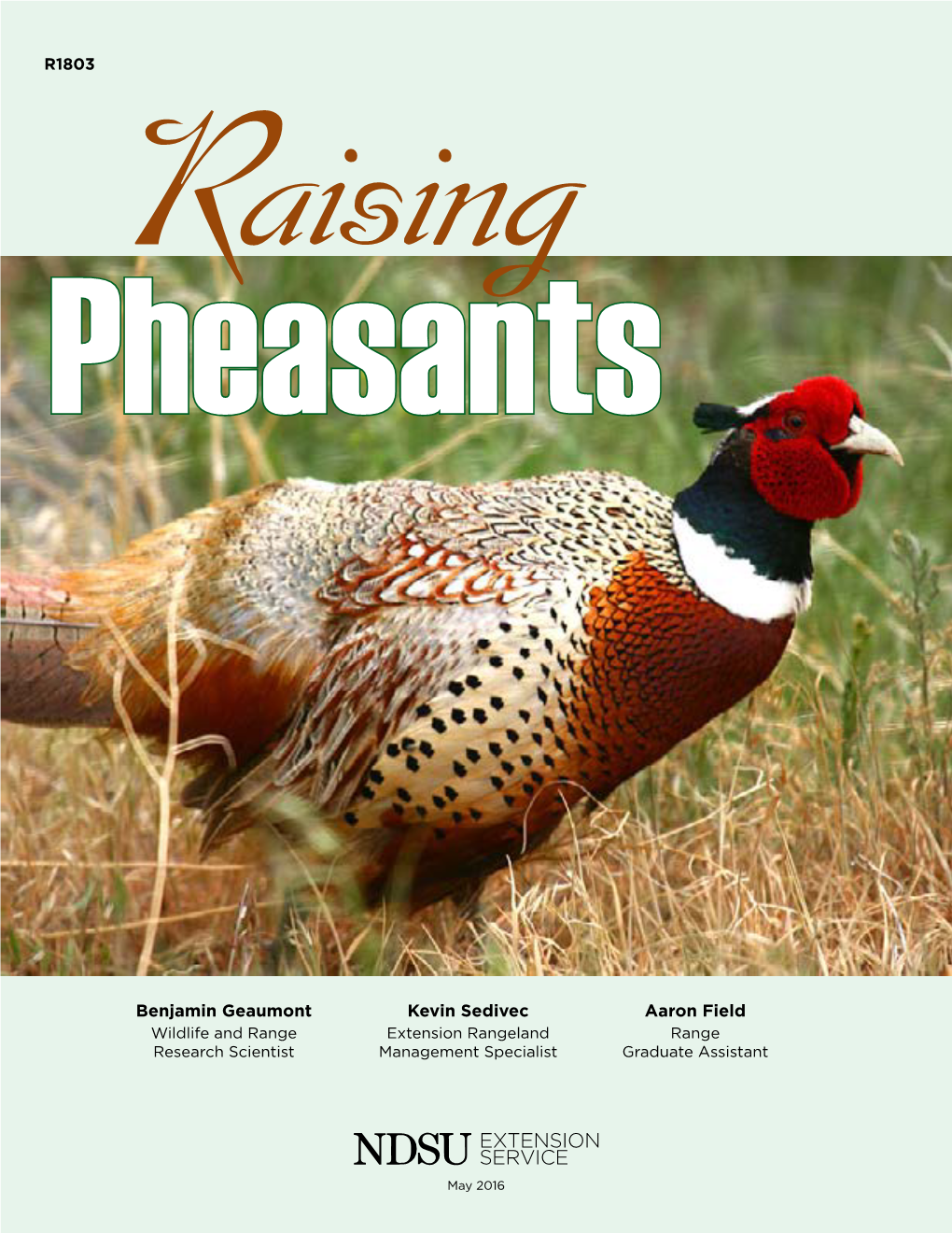 Raising Pheasants R1803