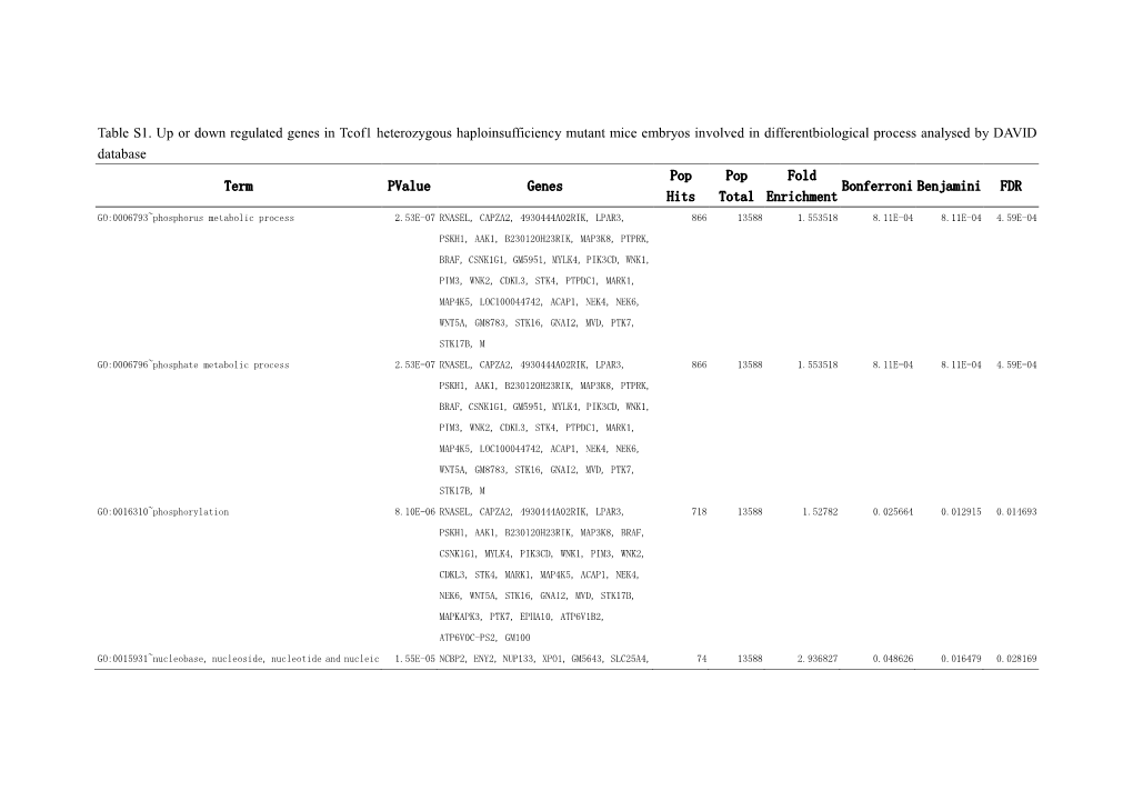 Table S1. up Or Down Regulated Genes in Tcof1 Heterozygous