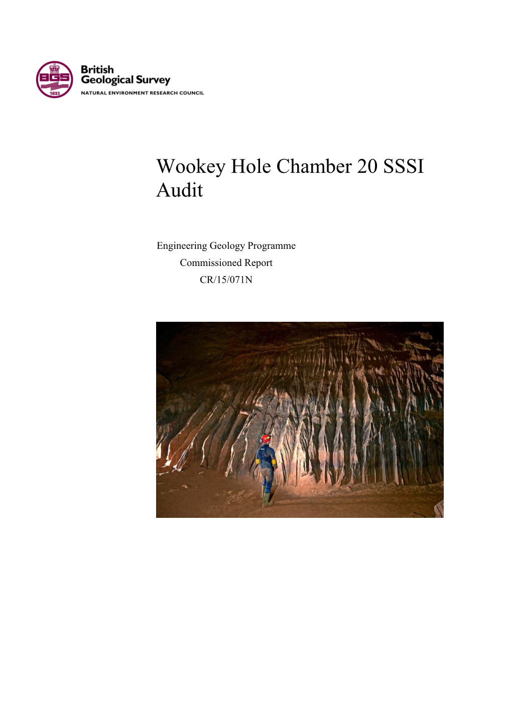 Wookey Hole Chamber 20 SSSI Audit