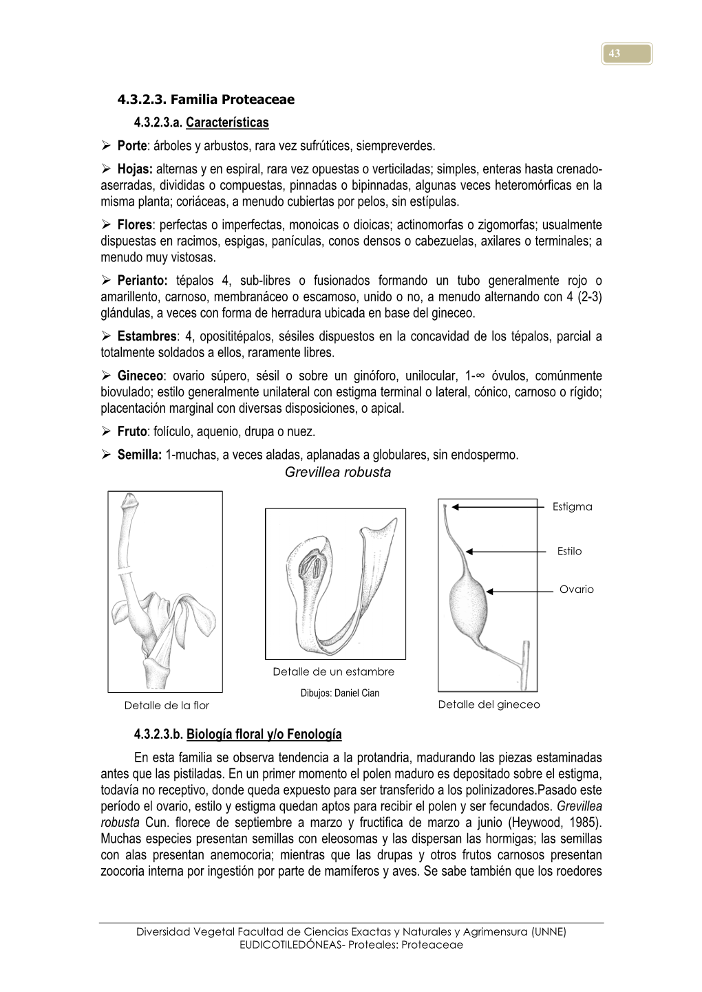 4.3.2.3. Familia Proteaceae 4.3.2.3.A