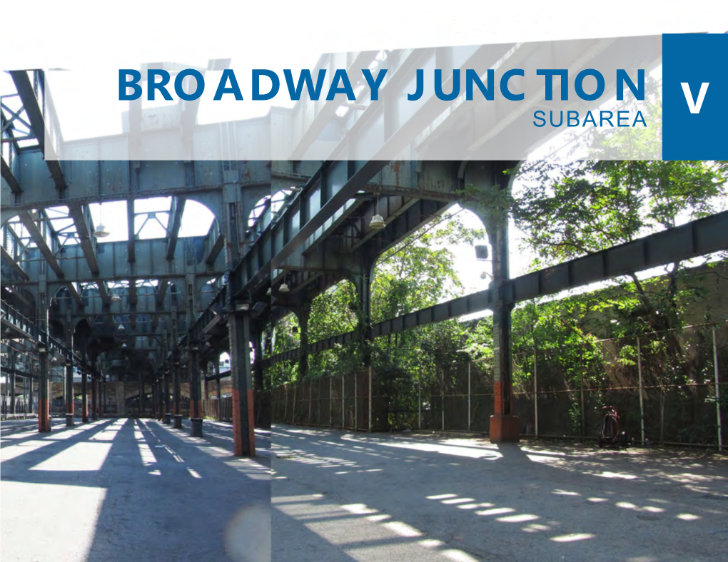 Broadway Junction Subarea V Broadway Junction