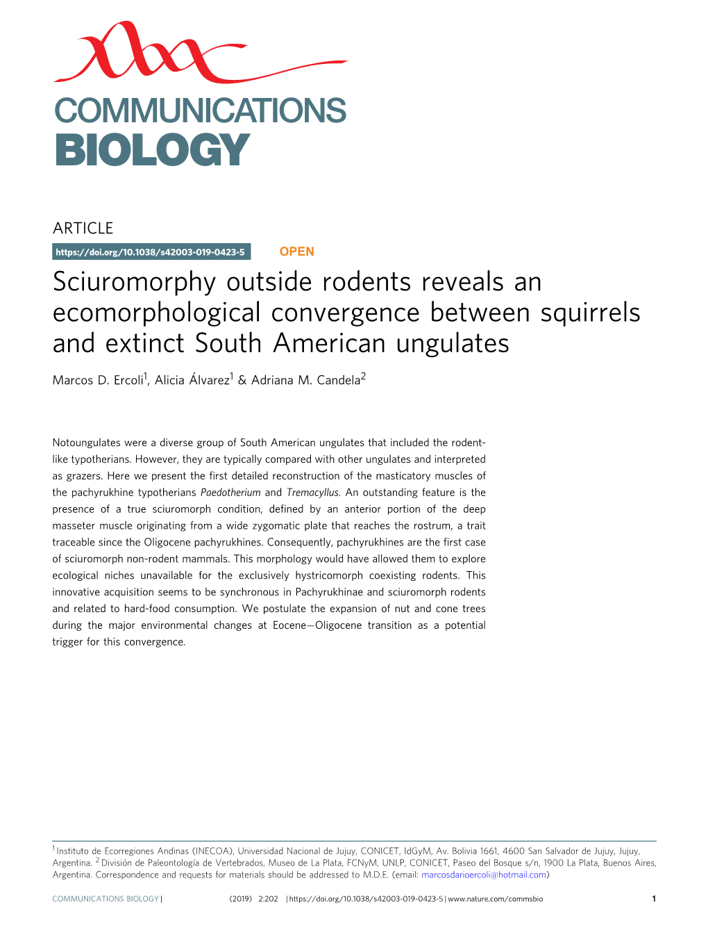 Sciuromorphy Outside Rodents Reveals an Ecomorphological Convergence Between Squirrels and Extinct South American Ungulates