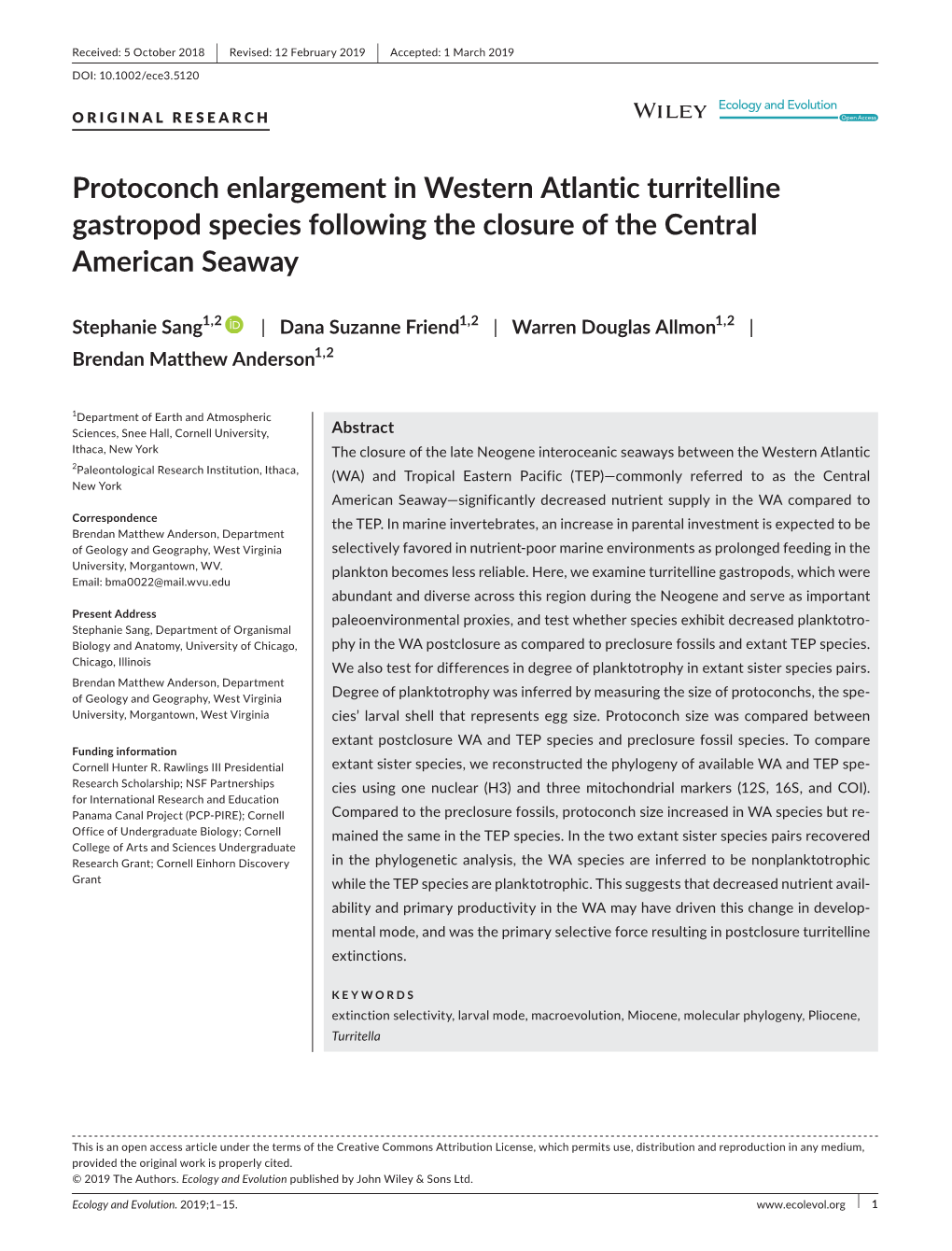 Protoconch Enlargement in Western Atlantic Turritelline Gastropod Species Following the Closure of the Central American Seaway
