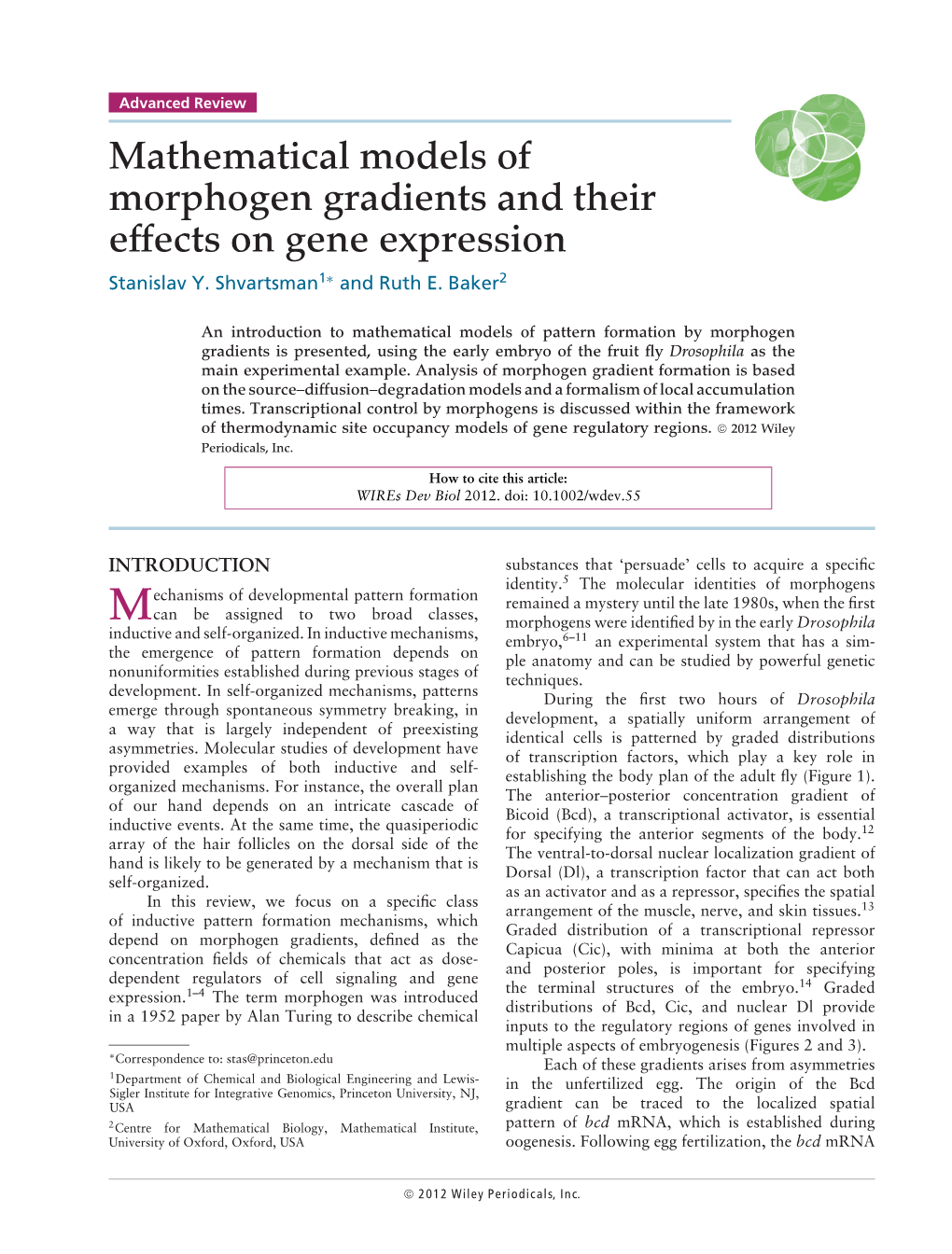 Mathematical Models of Morphogen Gradients and Their Effects on Gene Expression Stanislav Y