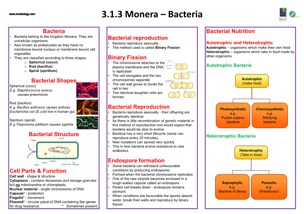 3.1.3 Monera, E.G. Bacteria