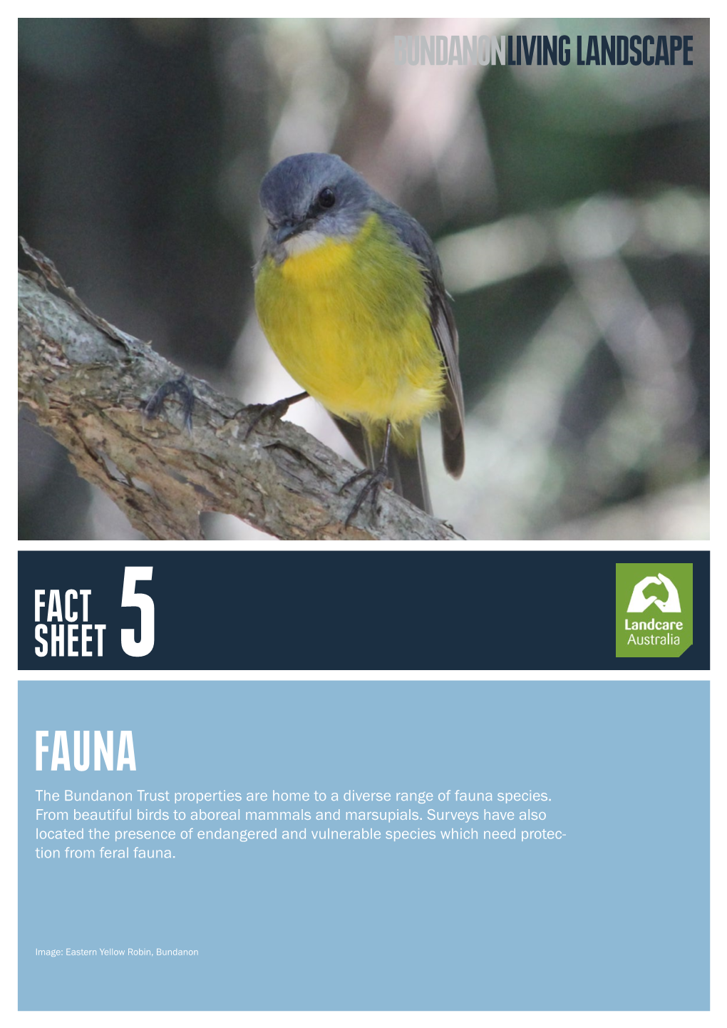 The Bundanon Trust Properties Are Home to a Diverse Range of Fauna Species