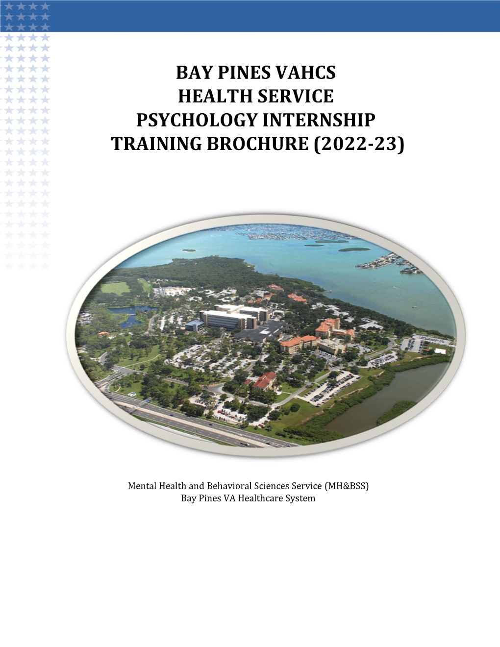 Bay Pines Vahcs Health Service Psychology Internship Training Brochure (2022-23)