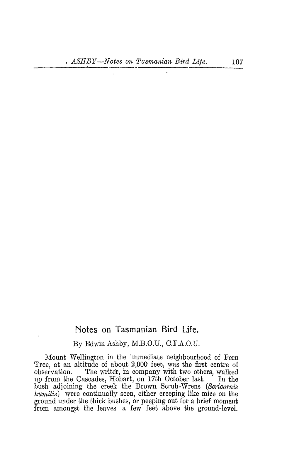 Notes on Tasmanian Bird Life. by Edwin Ashby, M.B.O.D., C.F.A.O.U