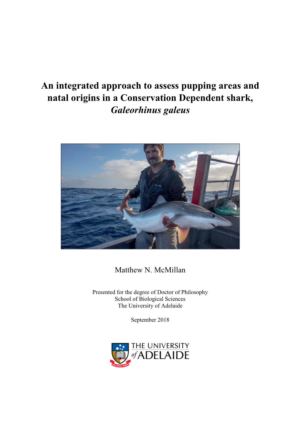 An Integrated Approach to Assess Pupping Areas and Natal Origins in a Conservation Dependent Shark, Galeorhinus Galeus